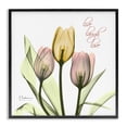 thumbnail image 1 of Stupell Industries Live Laugh Love Phrase Yellow Pink Tulip Florals Black Framed by Albert Koetsier, 1 of 5