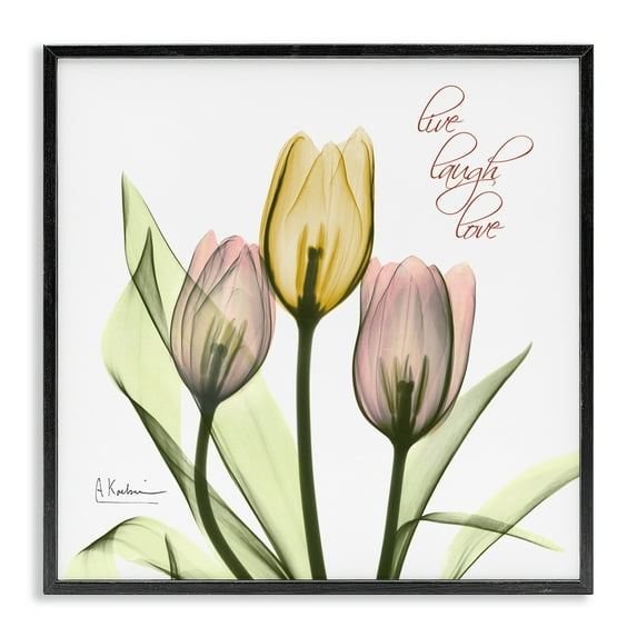 Stupell Industries Live Laugh Love Phrase Yellow Pink Tulip Florals Black Framed by Albert Koetsier