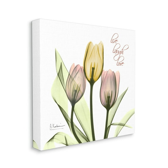 Stupell Industries Live Laugh Love Phrase Yellow Pink Tulip Florals Canvas Wall Art by Albert Koetsier