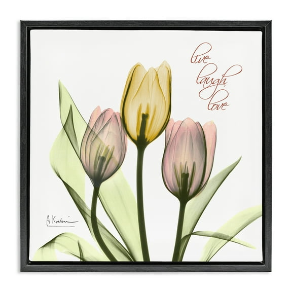 Stupell Industries Live Laugh Love Tulips Typography Photography Black Floater Framed Canvas Art Print Wall Art, 18 x 18