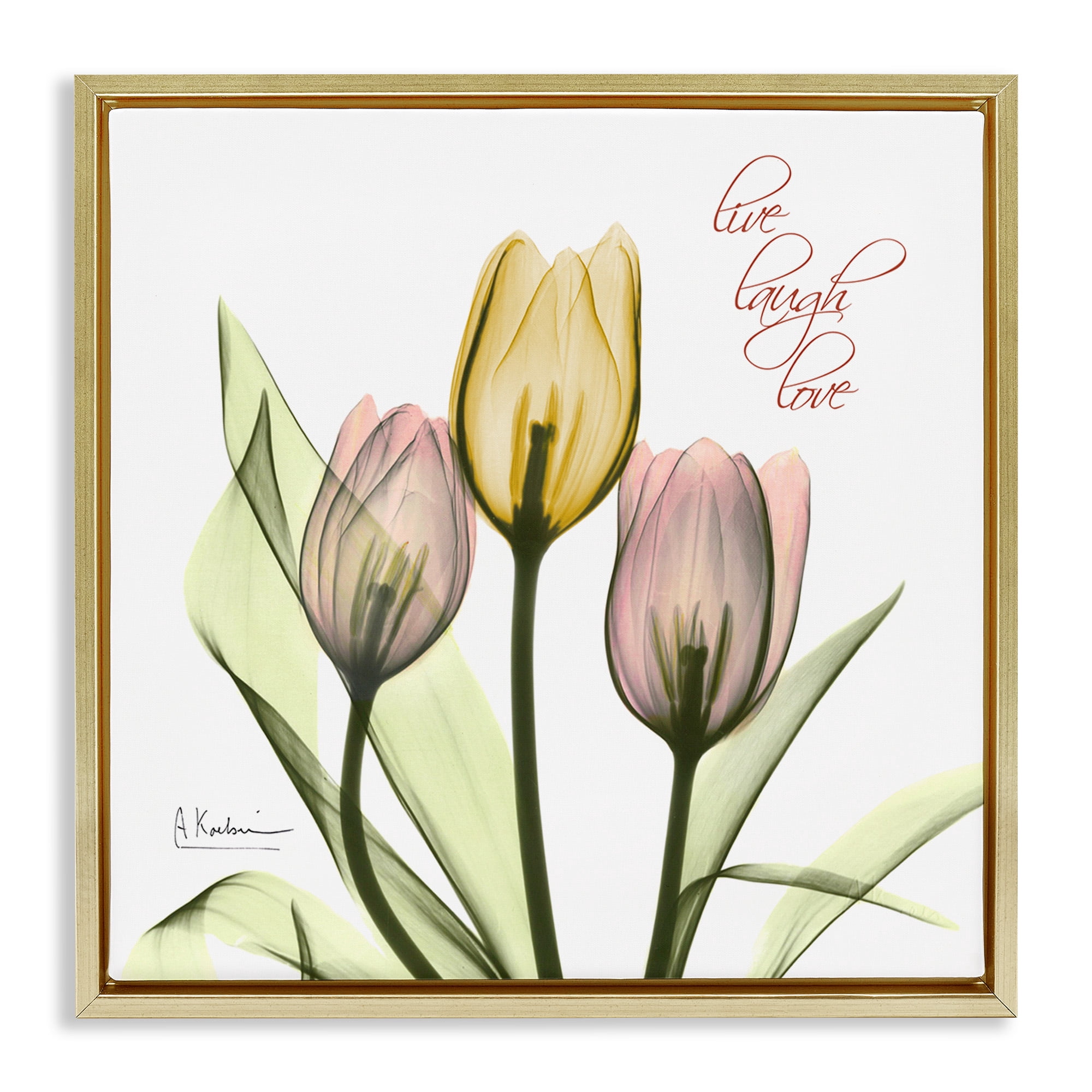 Stupell Industries Live Laugh Love Tulips Typography Photography Gold Floater Framed Canvas Art Print Wall Art, 18 x 18