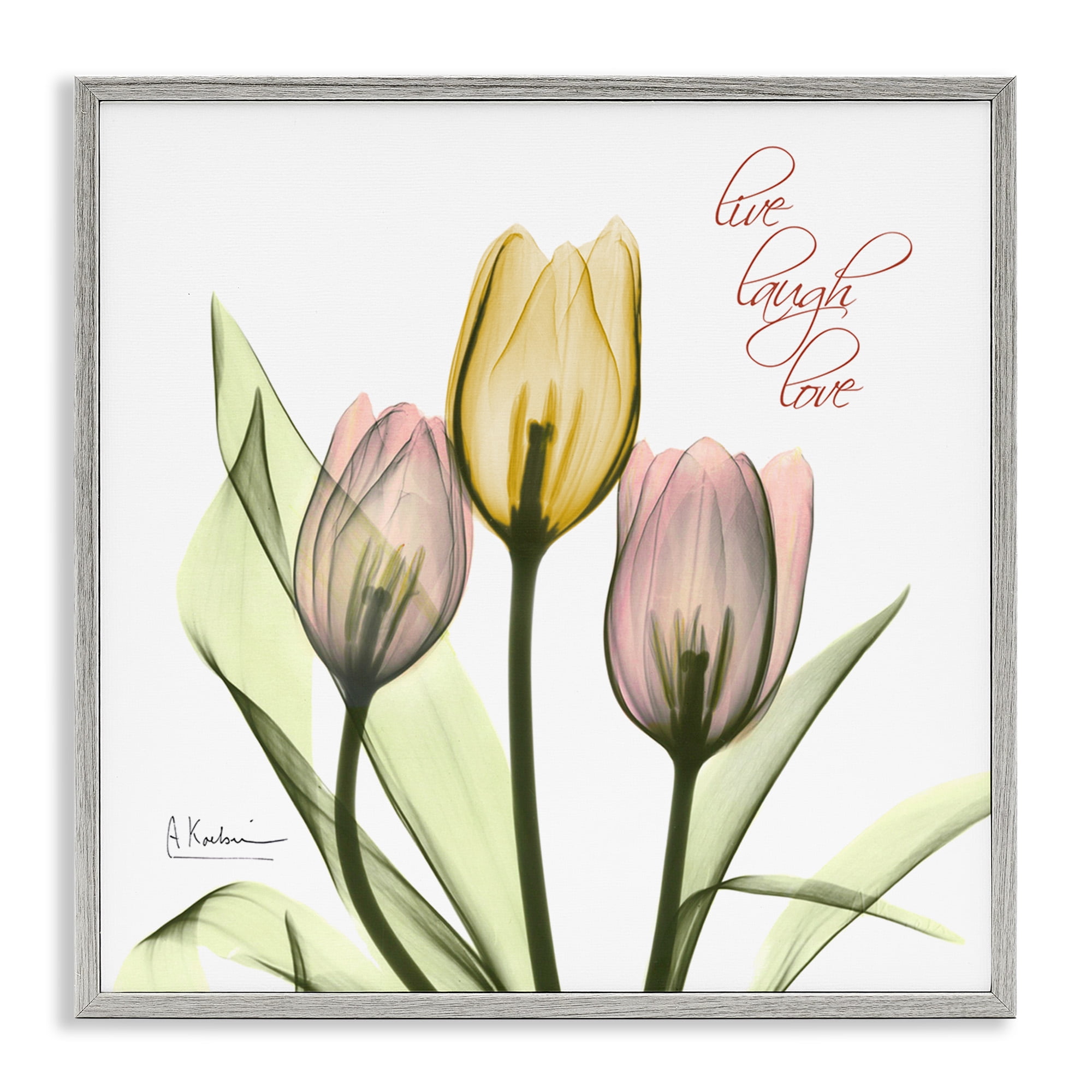 Stupell Industries Live Laugh Love Tulips Typography Photography Gray Framed Art Print Wall Art, 12 x 12