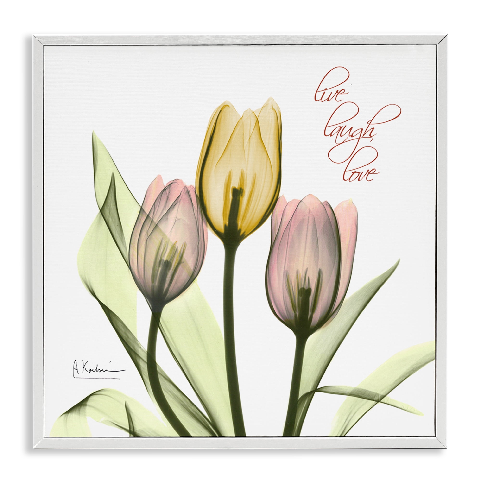 Stupell Industries Live Laugh Love Tulips Typography Photography White Framed Art Print Wall Art, 12 x 12