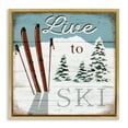 thumbnail image 1 of Stupell Industries Live To Ski Rustic Snow Sports Sports Painting Gold Floater Framed Canvas Art Print Wall Art, 18 x 18, 1 of 9