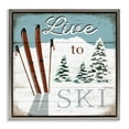 thumbnail image 1 of Stupell Industries Live To Ski Rustic Snow Sports Sports Painting Gray Floater Framed Canvas Art Print Wall Art, 18 x 18, 1 of 9