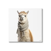 Stupell Industries Llama Wearing Scarf Animals & Insects Painting Gallery Wrapped Canvas Art Print Wall Art, 17 x 17
