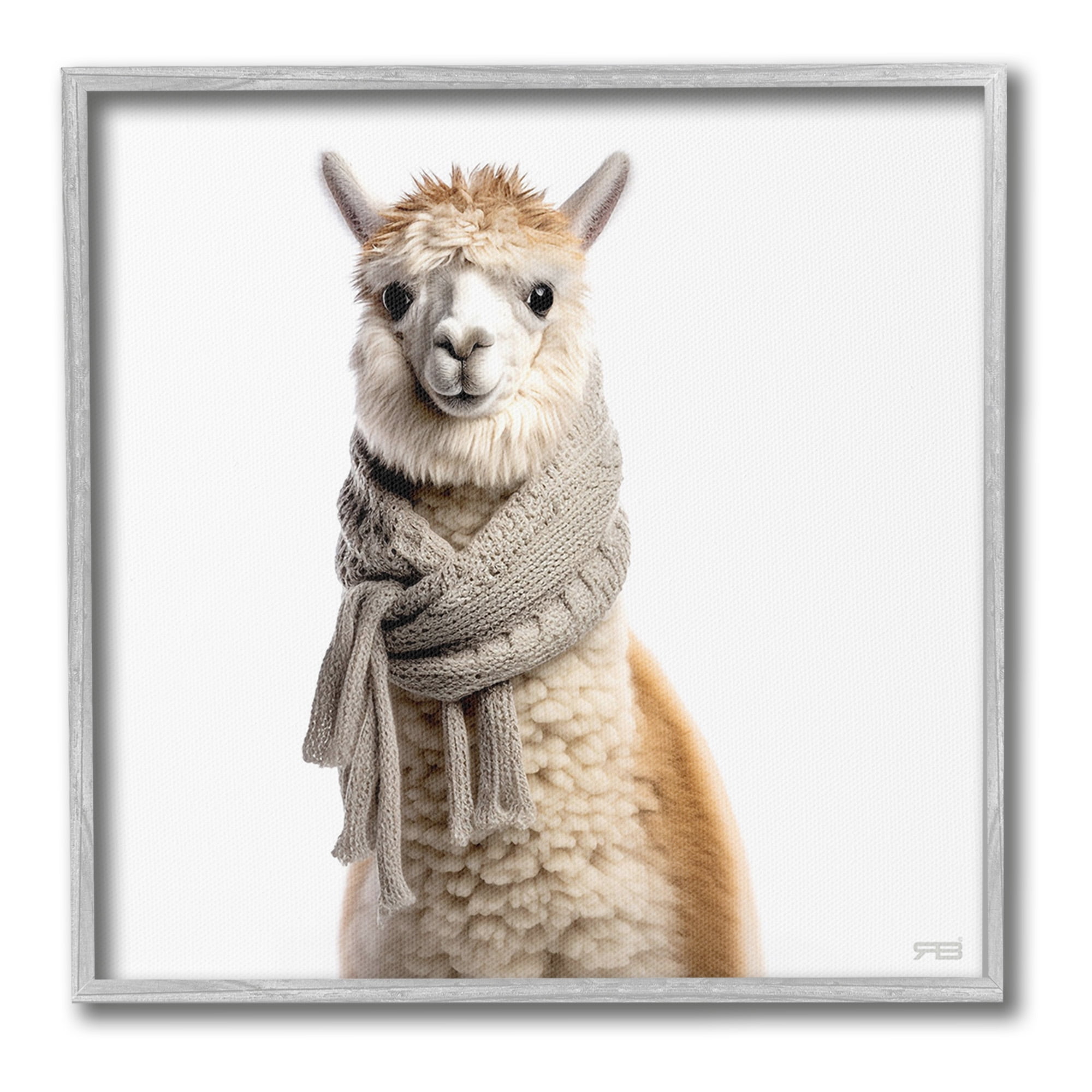 Stupell Industries Llama Wearing Scarf Animals & Insects Painting Gray Framed Art Print Wall Art, 24 x 24
