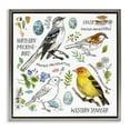 thumbnail image 1 of Stupell Industries Local Bird Diagram Animals Painting Gray Floater Framed Canvas Art Print Wall Art, 18 x 18, 1 of 10