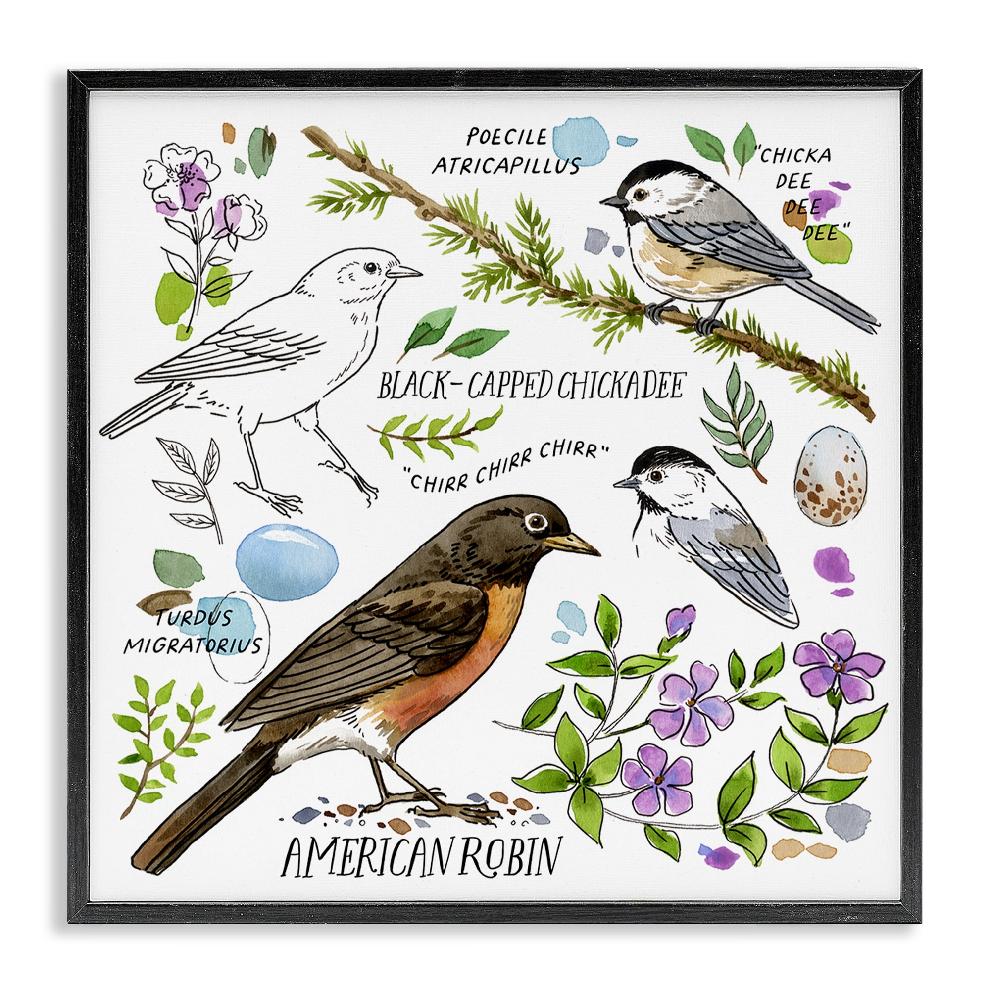 Stupell Industries Local Bird Watching Animals Painting Black Framed Art Print Wall Art, 24 x 24