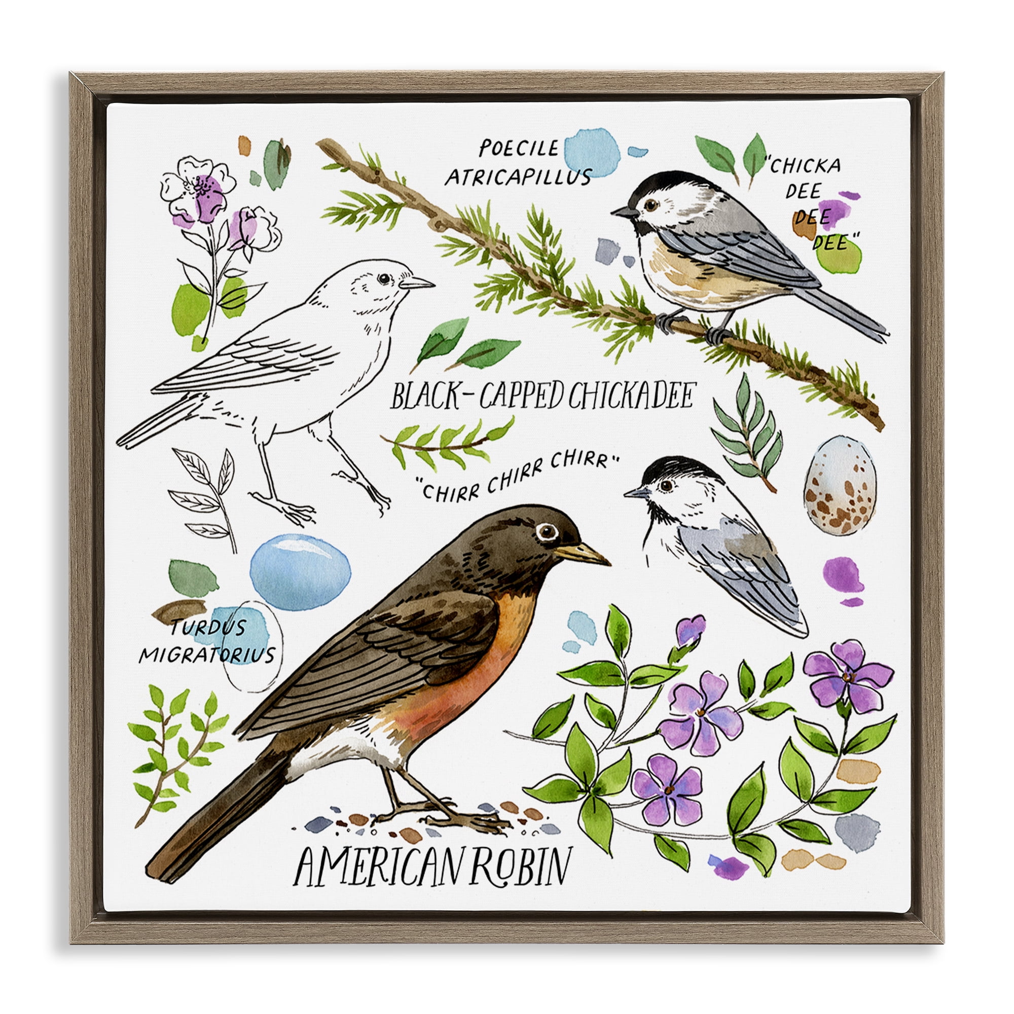 Stupell Industries Local Bird Watching Animals Painting Brown Floater Framed Canvas Art Print Wall Art, 25 x 25