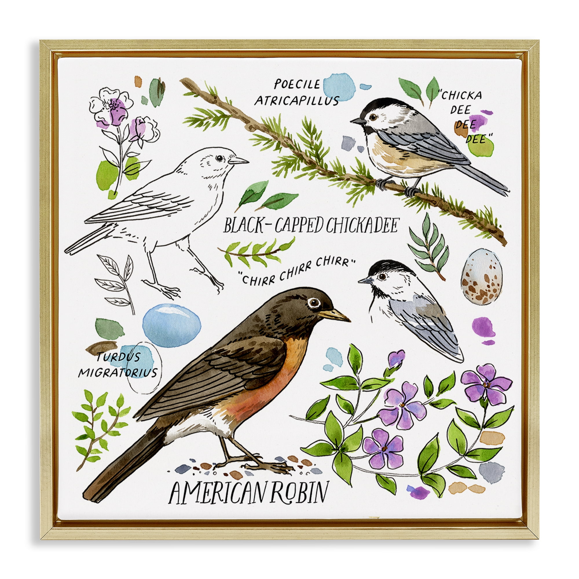 Stupell Industries Local Bird Watching Animals Painting Gold Floater Framed Canvas Art Print Wall Art, 18 x 18