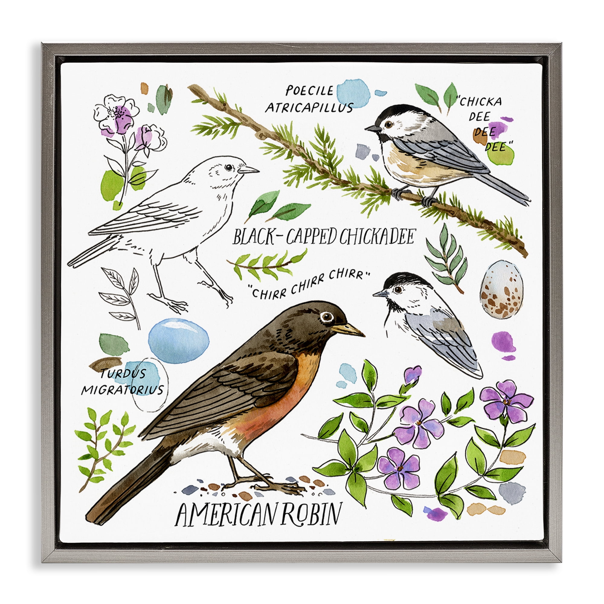 Stupell Industries Local Bird Watching Animals Painting Gray Floater Framed Canvas Art Print Wall Art, 25 x 25
