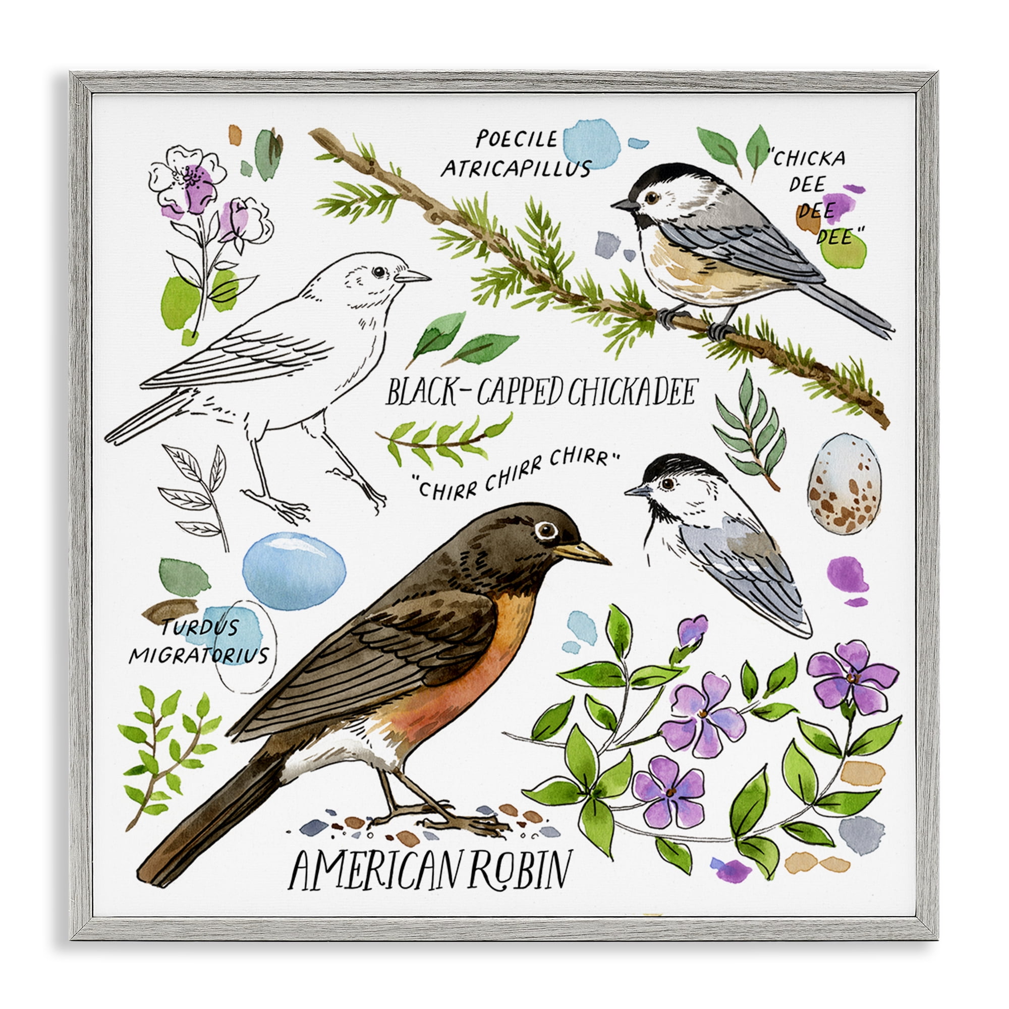 Stupell Industries Local Bird Watching Animals Painting Gray Framed Art Print Wall Art, 12 x 12