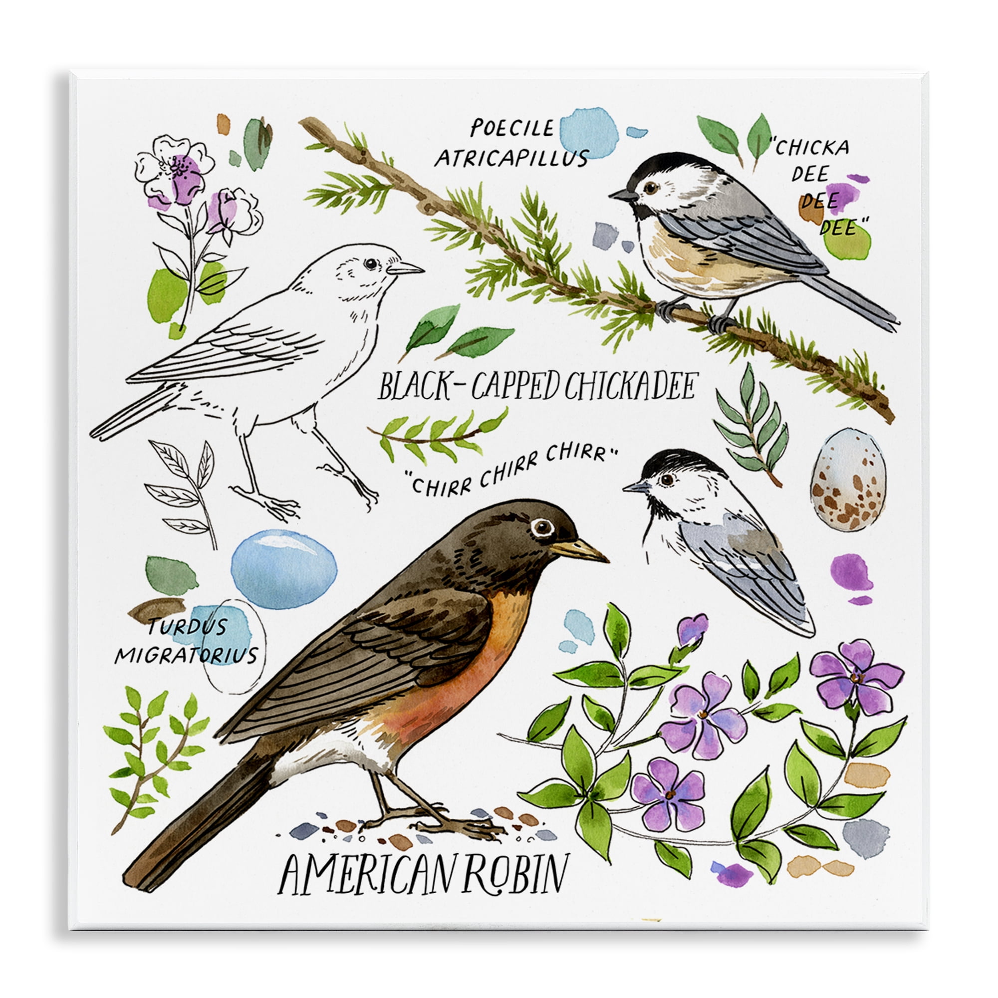 Stupell Industries Local Bird Watching Animals Painting Unframed Art Print Wall Art, 12 x 12
