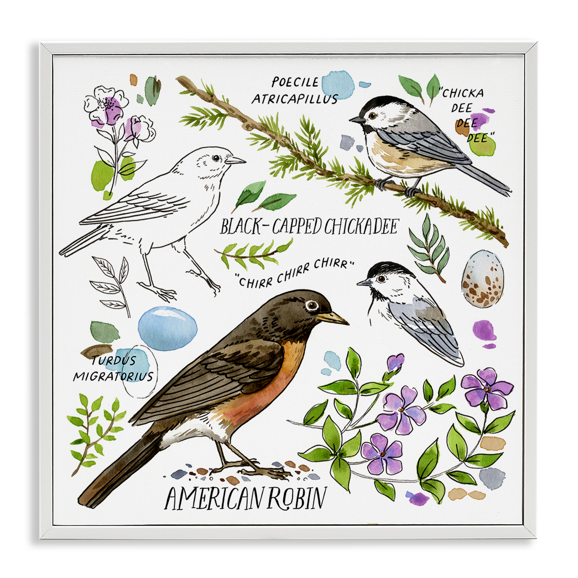 Stupell Industries Local Bird Watching Animals Painting White Framed Art Print Wall Art, 12 x 12
