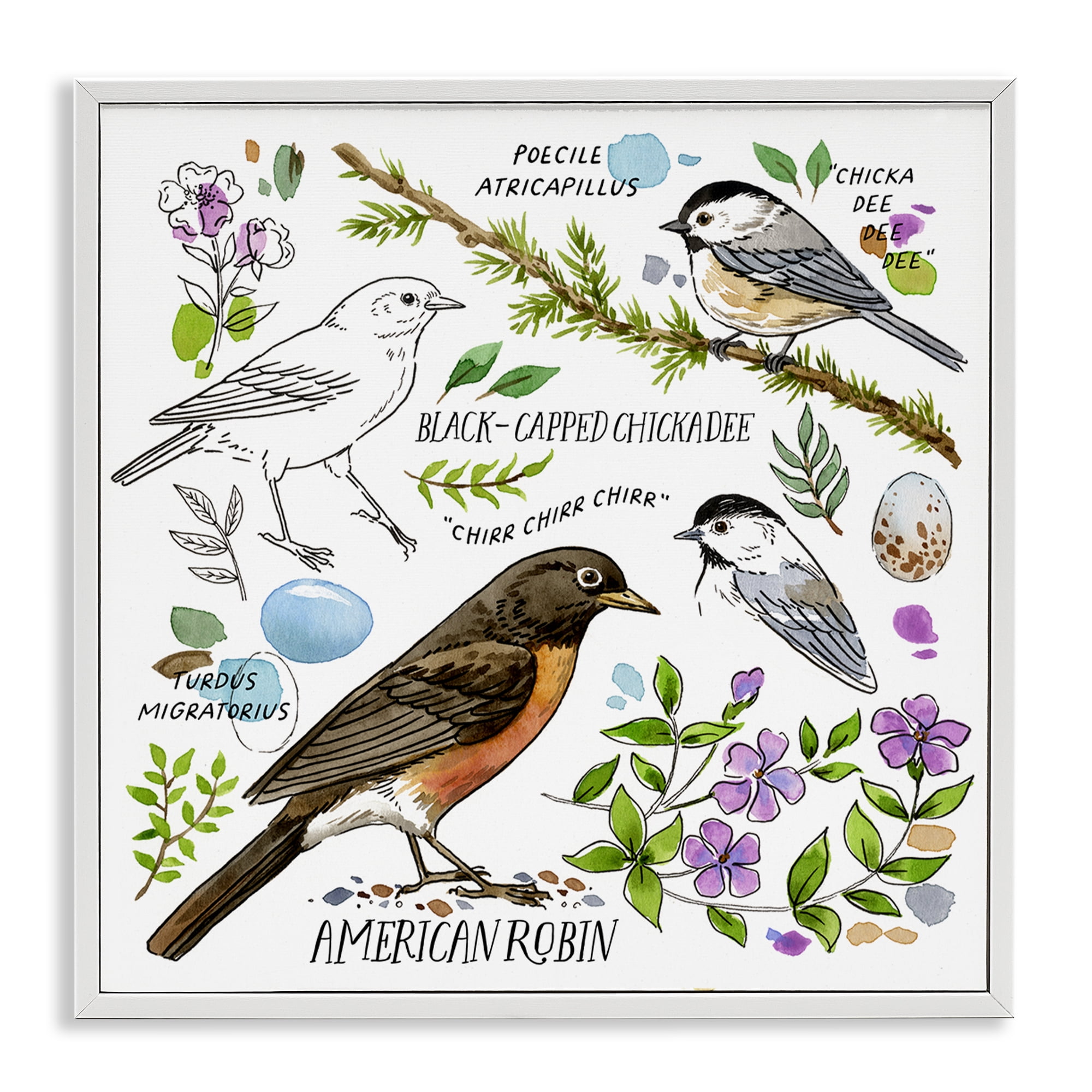 Stupell Industries Local Bird Watching Animals Painting White Framed Art Print Wall Art, 17 x 17
