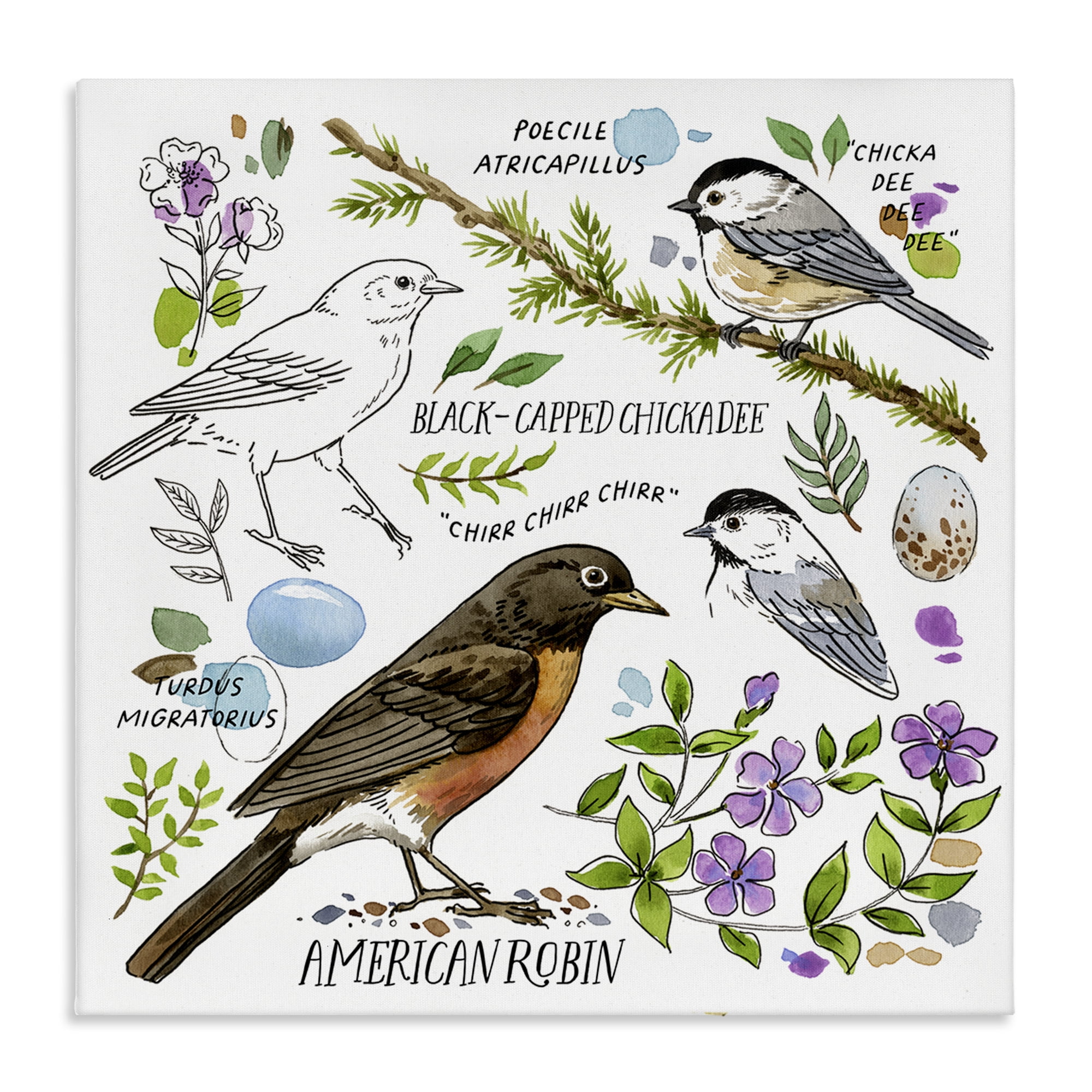 Stupell Industries Local Bird Watching Animals Painting Wrapped Canvas Art Print Wall Art, 30 x 30