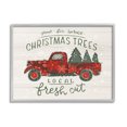 thumbnail image 1 of Stupell Industries Local Fresh Cut Christmas Trees Graphic Art Gray Framed Art Print Wall Art, Design by Loni Harris, 1 of 7