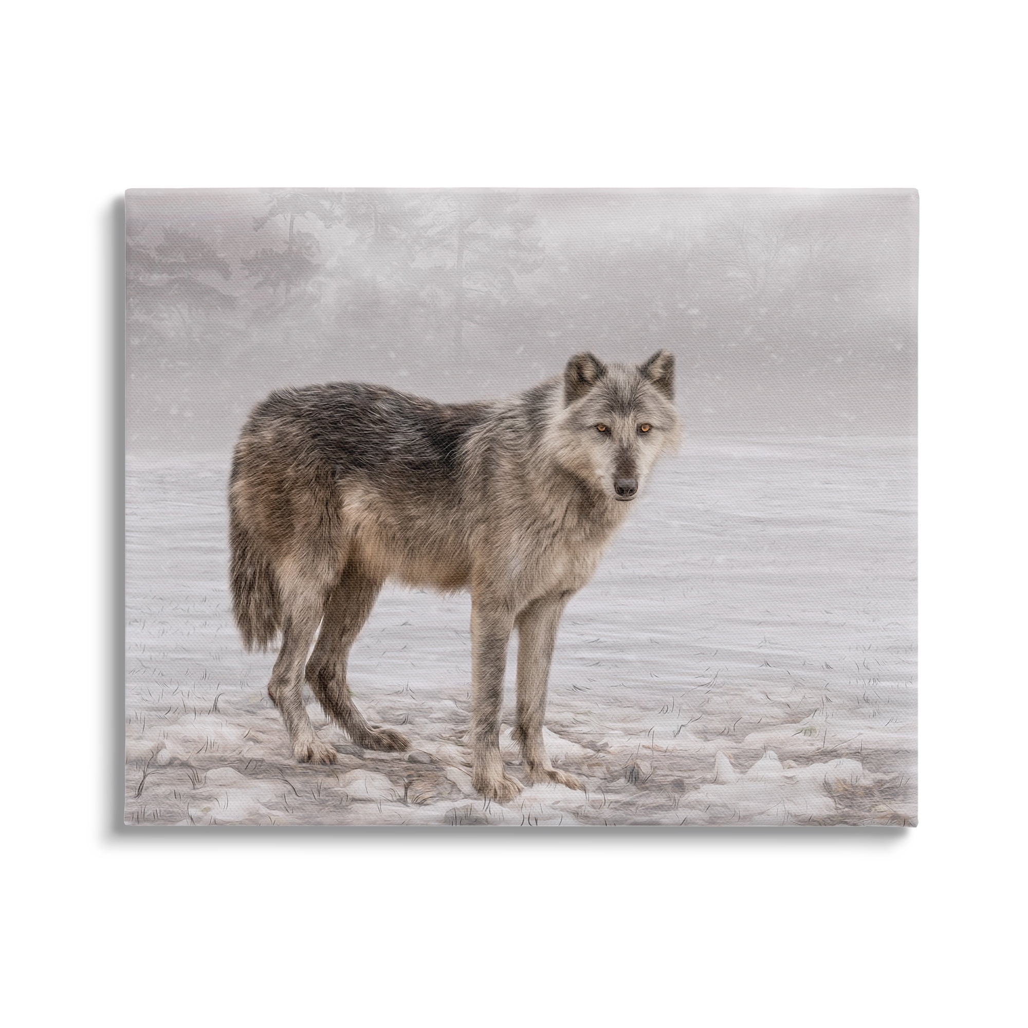Stupell Industries Lone Coyote Wolf Snowy Field Landscape Intricate Details Graphic Art Gallery Wrapped Canvas Print Wall Art, Design by Kelley Parker