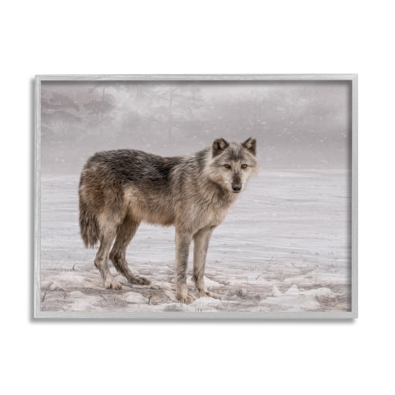 Stupell Industries Lone Coyote Wolf Snowy Field Landscape Intricate Details Graphic Art Gray Framed Art Print Wall Art, Design by Kelley Parker