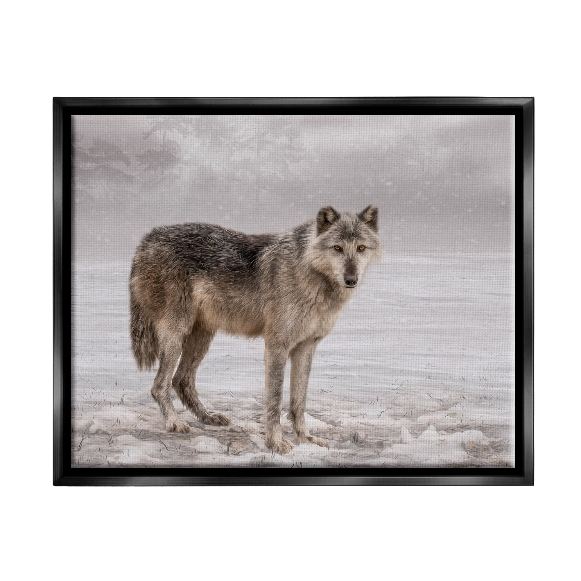 Stupell Industries Lone Coyote Wolf Snowy Field Landscape Intricate Details Graphic Art Jet Black Floating Framed Canvas Print Wall Art, Design by Kelley Parker