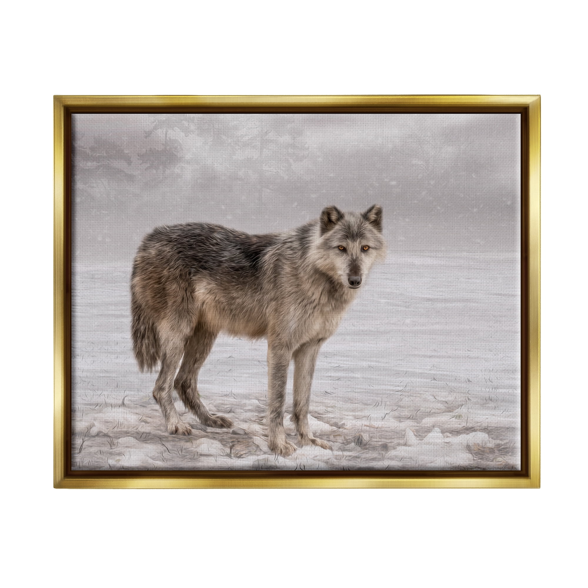 Stupell Industries Lone Coyote Wolf Snowy Field Landscape Intricate Details Graphic Art Metallic Gold Floating Framed Canvas Print Wall Art, Design by Kelley Parker