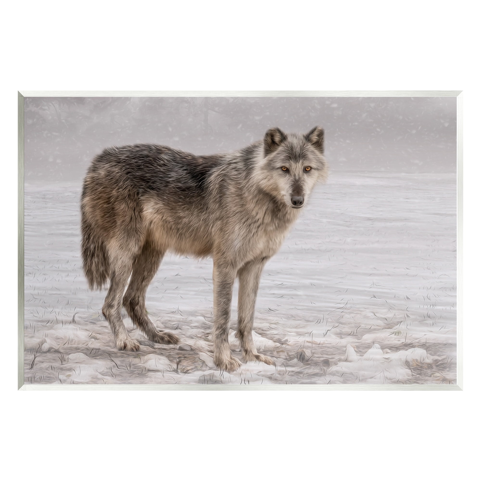 Stupell Industries Lone Coyote Wolf Snowy Field Landscape Intricate Details Graphic Art Unframed Art Print Wall Art, Design by Kelley Parker