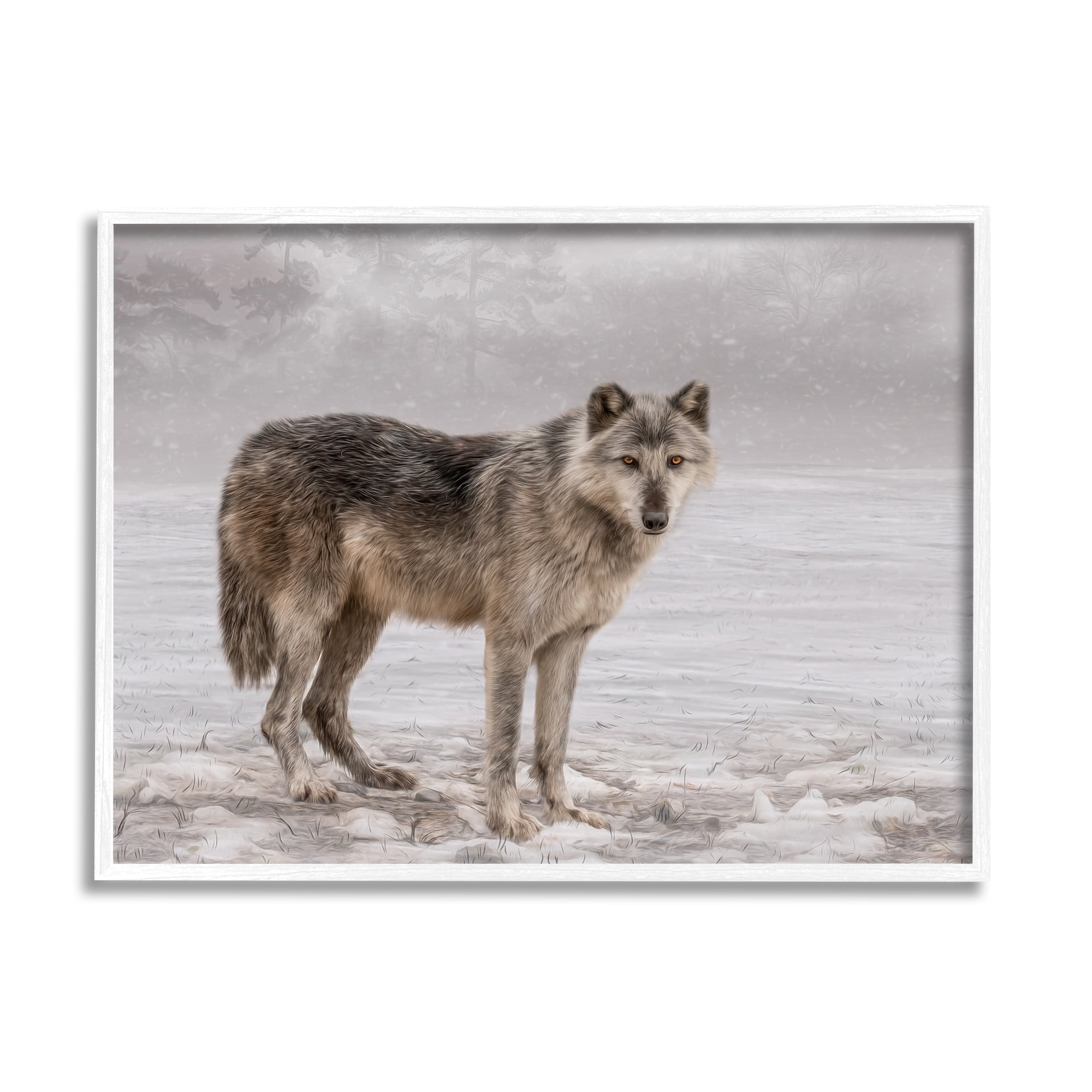 Stupell Industries Lone Coyote Wolf Snowy Field Landscape Intricate Details Graphic Art White Framed Art Print Wall Art, Design by Kelley Parker