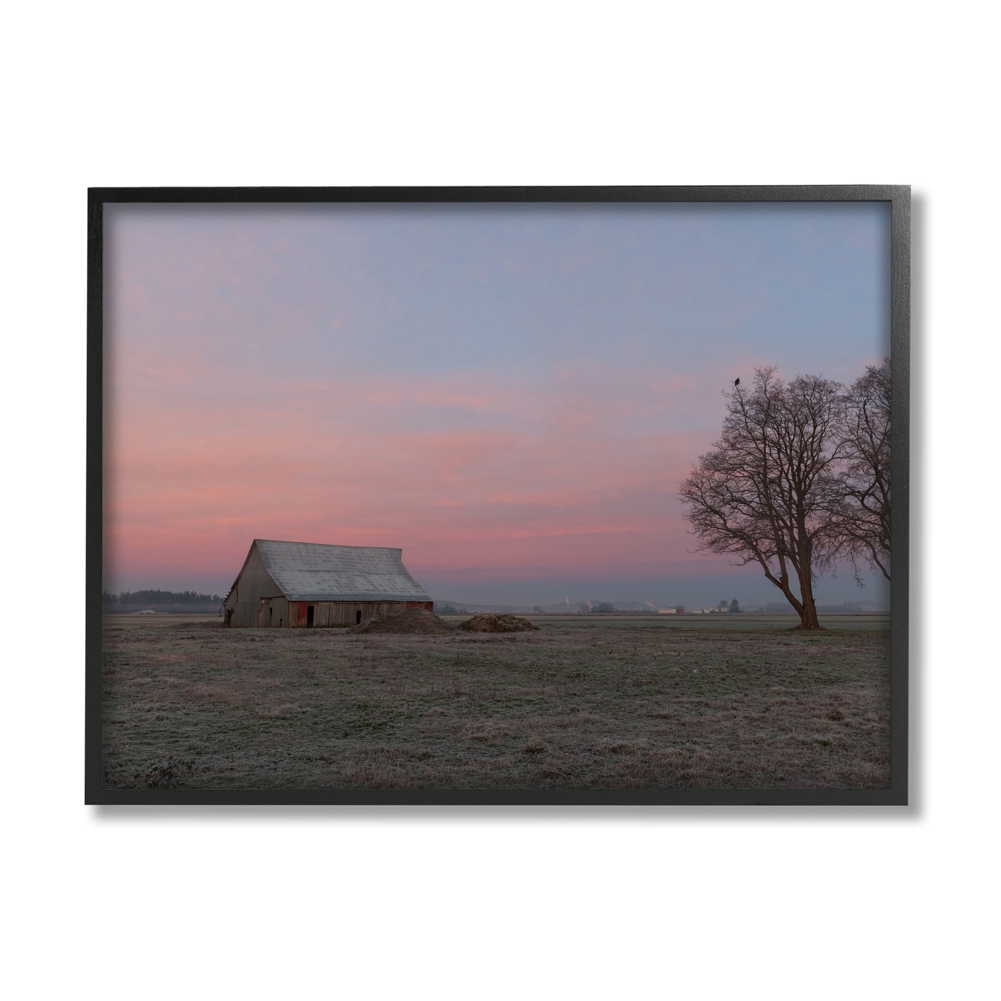 Stupell Industries Lone Grassland Cabin Rural Trees Sunset Sky Photograph Black Framed Art Print Wall Art, Design by Nancy Crowell