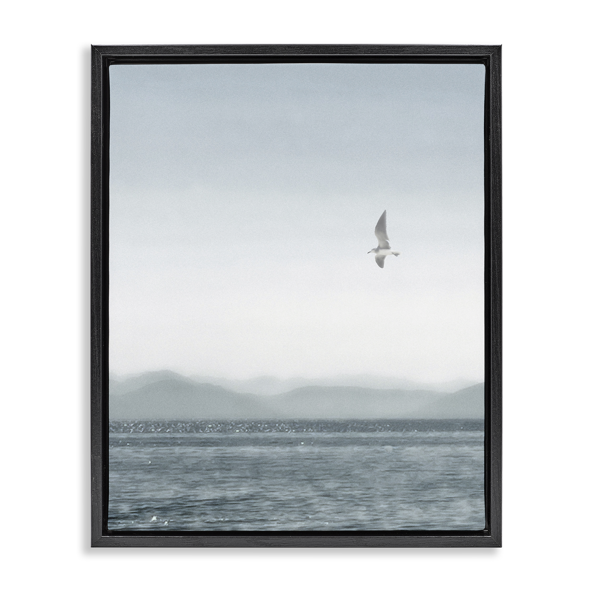 Stupell Industries Lone Gull over Sea Coastal Painting Black Floater Framed Canvas Art Print Wall Art, 17 x 21