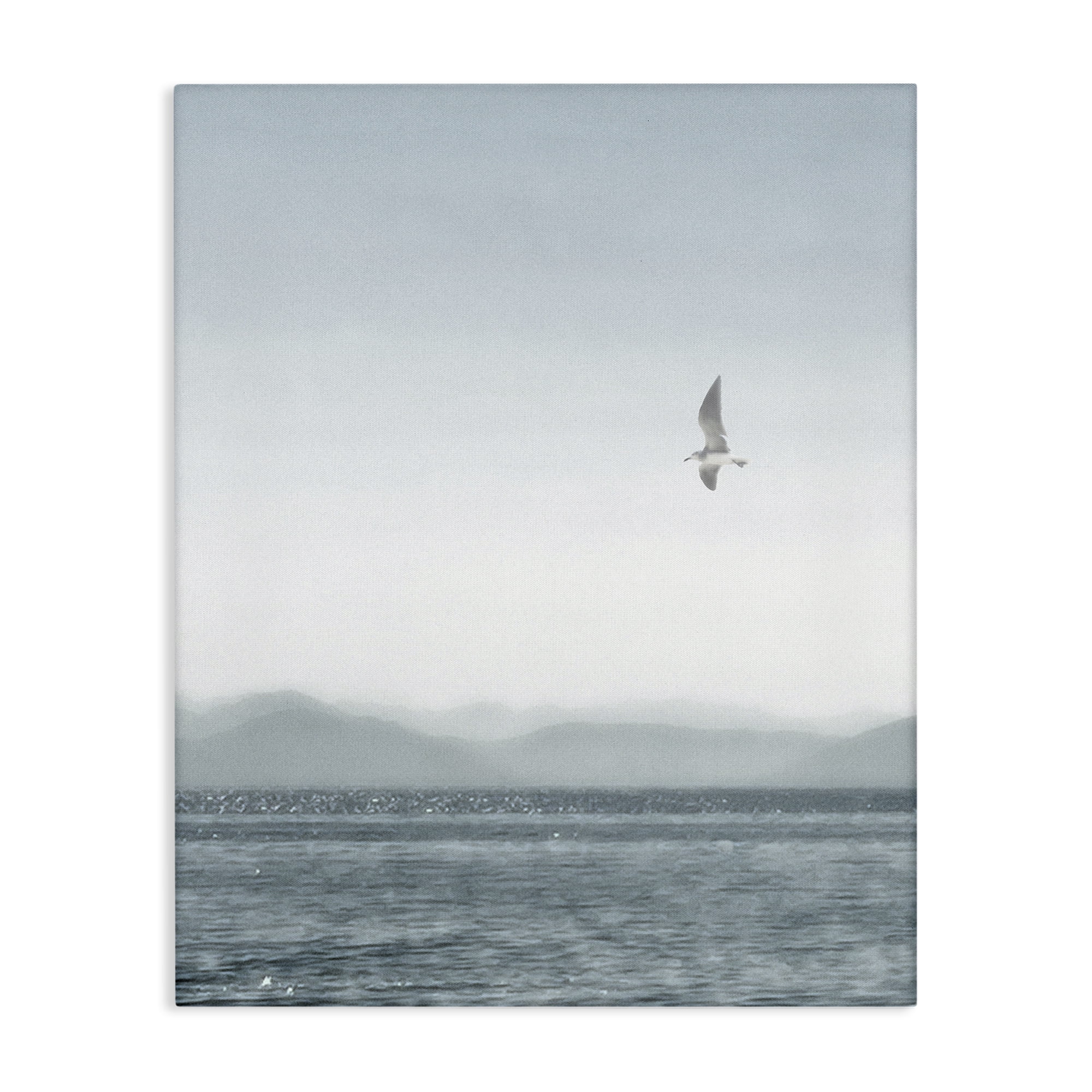 Stupell Industries Lone Gull over Sea Coastal Painting Gallery Wrapped Canvas Art Print Wall Art, 24 x 30