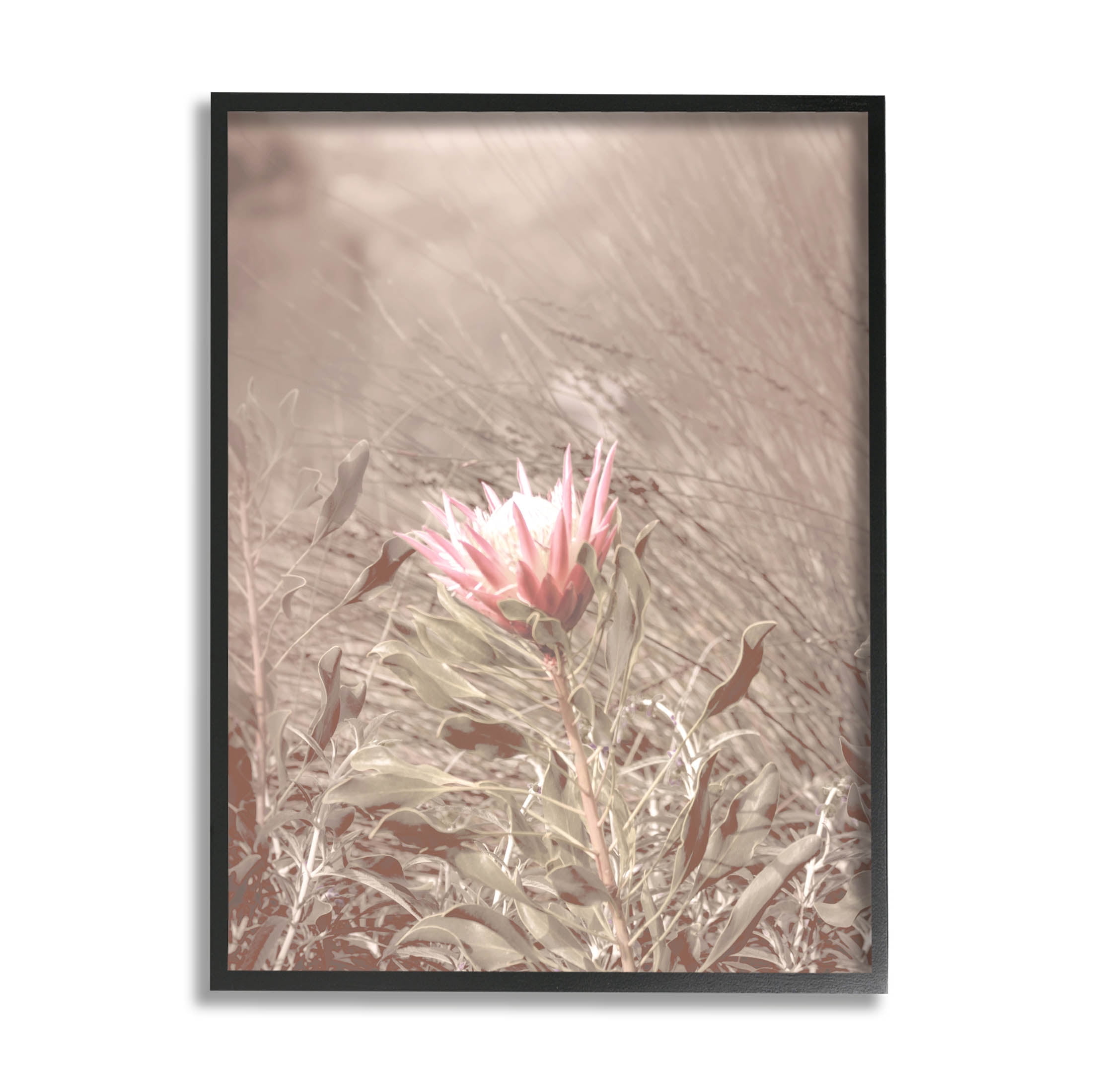 Stupell Industries Lone Pink Flower Grassland Photograph Black Framed Art Print Wall Art, Design by Lil' Rue