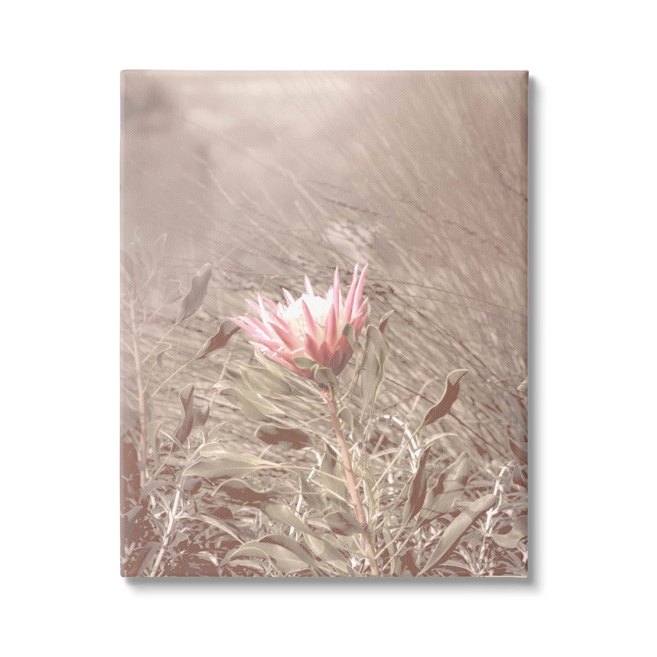 Stupell Industries Lone Pink Flower Grassland Photograph Gallery Wrapped Canvas Print Wall Art, Design by Lil' Rue