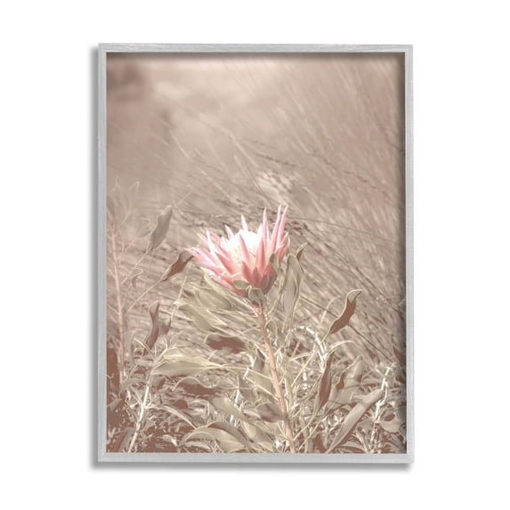 Stupell Industries Lone Pink Flower Grassland Photograph Gray Framed Art Print Wall Art, Design by Lil' Rue