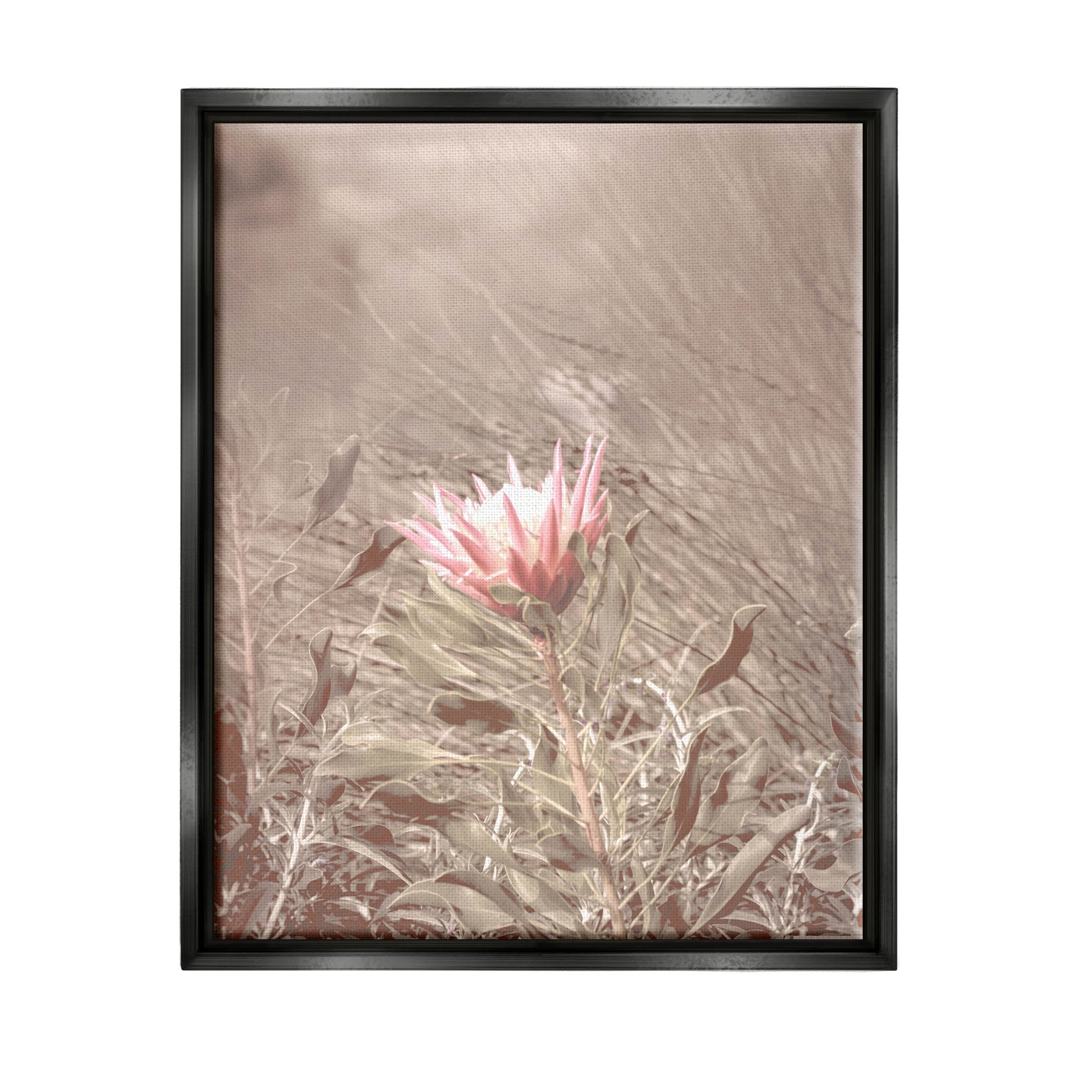 Stupell Industries Lone Pink Flower Grassland Photograph Jet Black Floating Framed Canvas Print Wall Art, Design by Lil' Rue