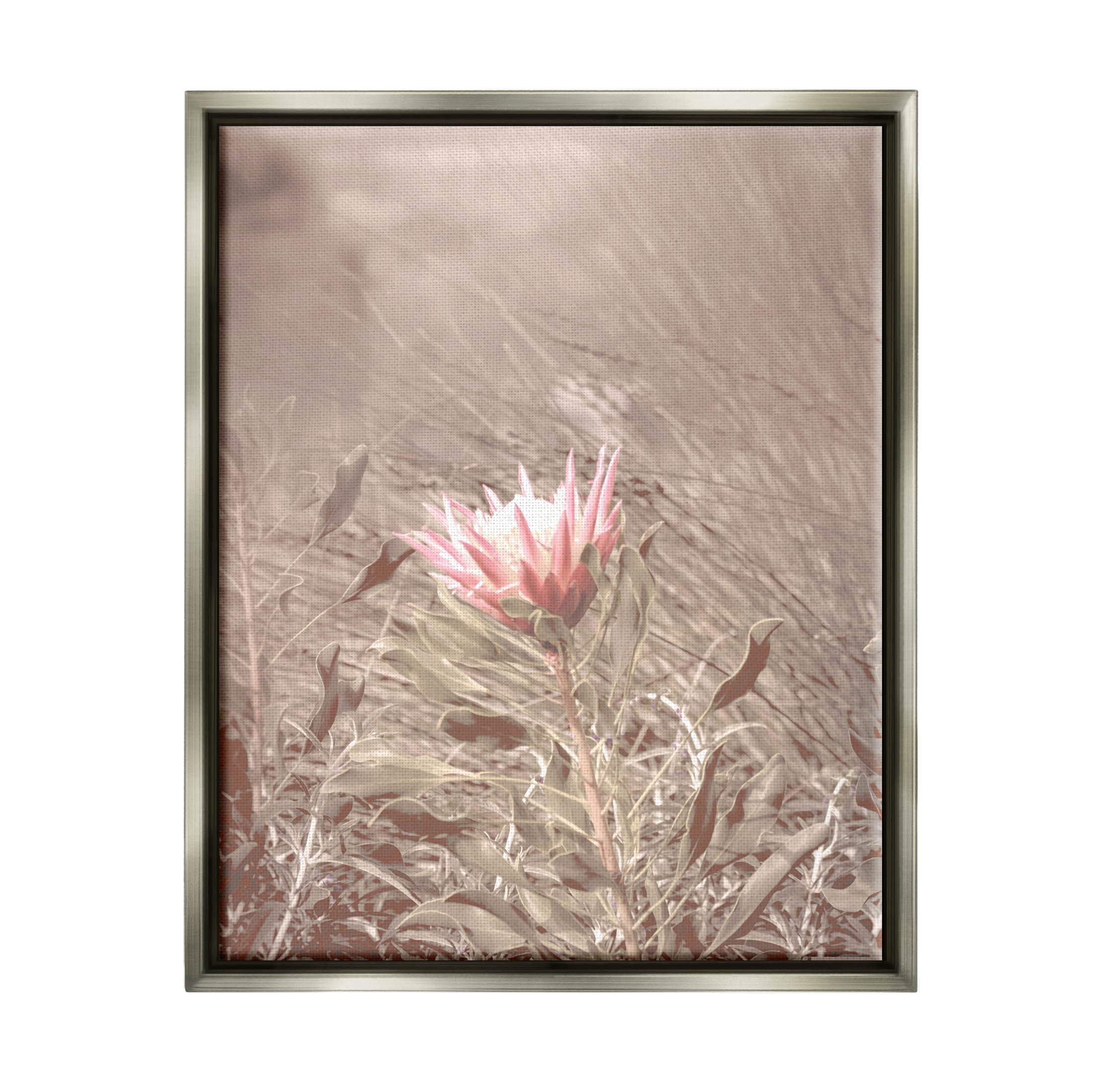 Stupell Industries Lone Pink Flower Grassland Photograph Luster Gray Floating Framed Canvas Print Wall Art, Design by Lil' Rue