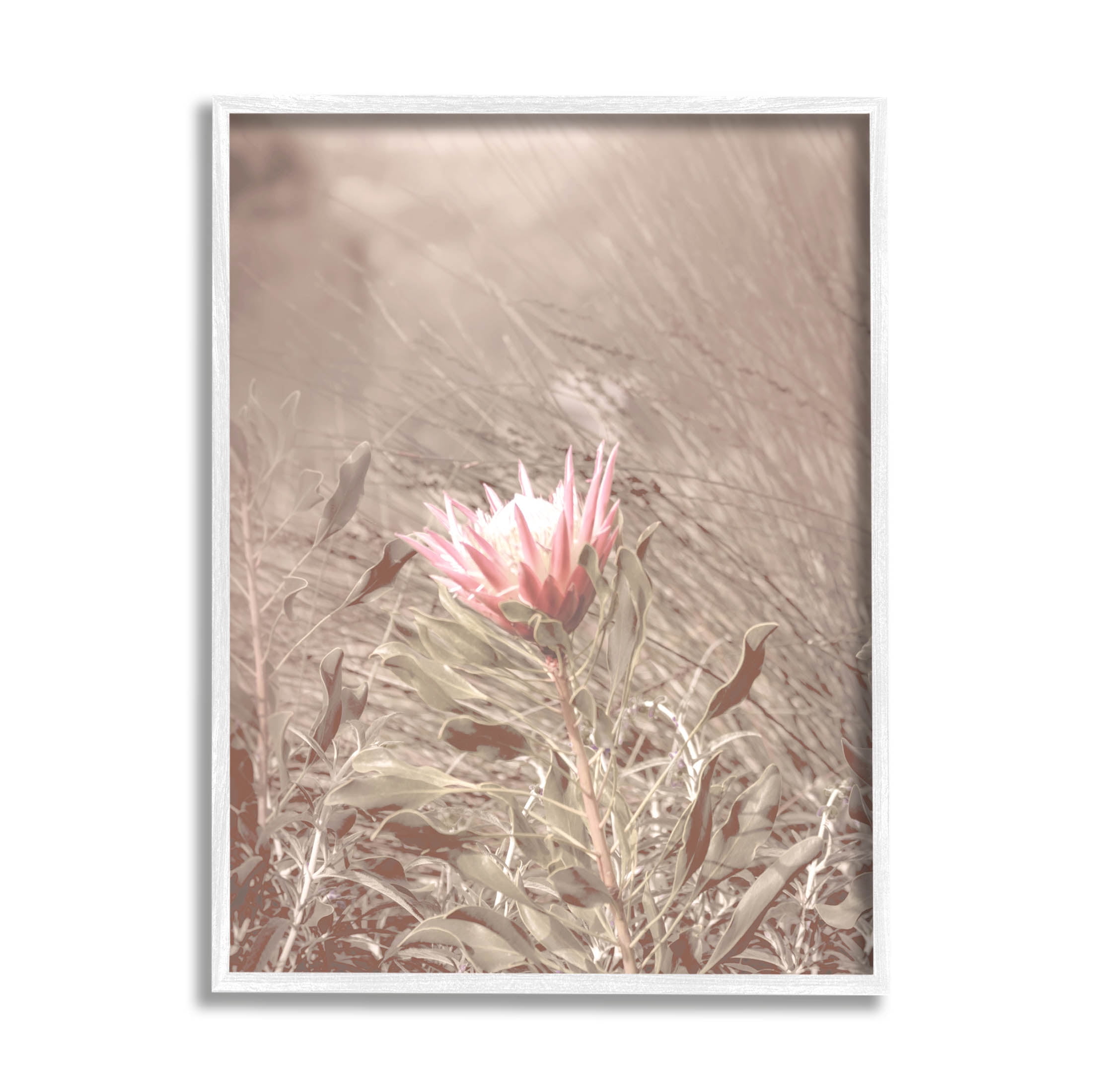 Stupell Industries Lone Pink Flower Grassland Photograph White Framed Art Print Wall Art, Design by Lil' Rue