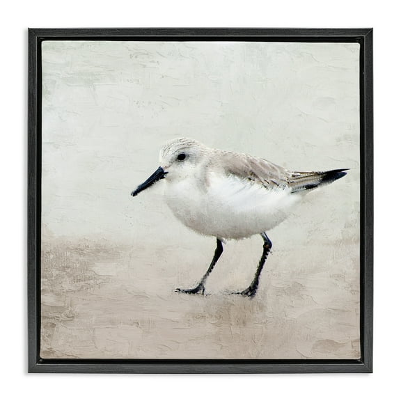 Stupell Industries Lone Sandpiper Bird Portrait Animals & Insects Painting Black Floater Framed Canvas Art Print Wall Art, 18 x 18