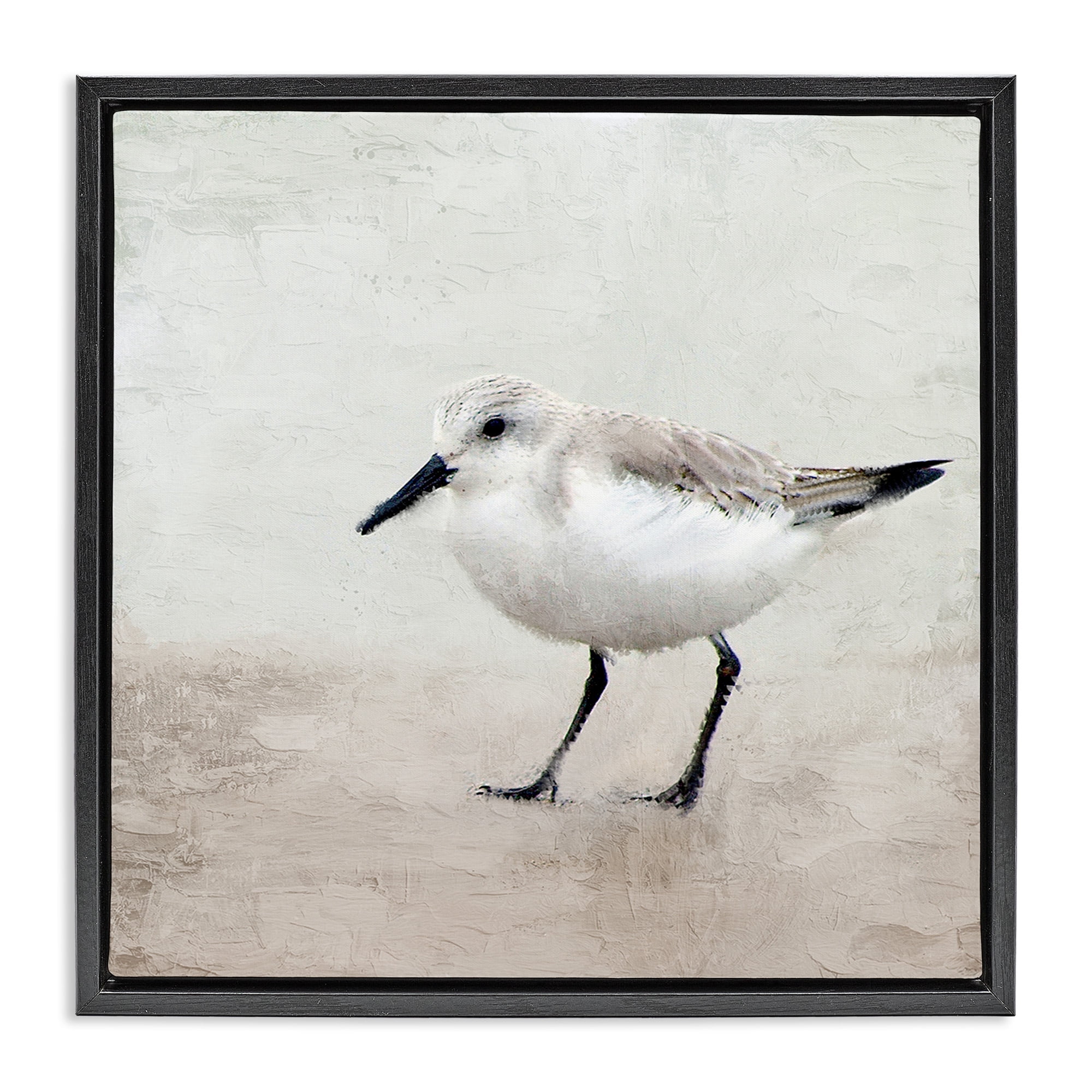 Stupell Industries Lone Sandpiper Bird Portrait Animals & Insects Painting Black Floater Framed Canvas Art Print Wall Art, 25 x 25