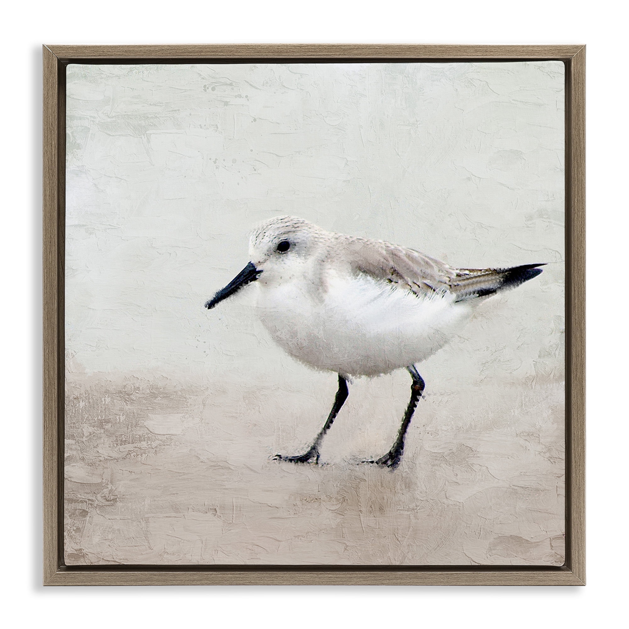 Stupell Industries Lone Sandpiper Bird Portrait Animals & Insects Painting Brown Floater Framed Canvas Art Print Wall Art, 18 x 18