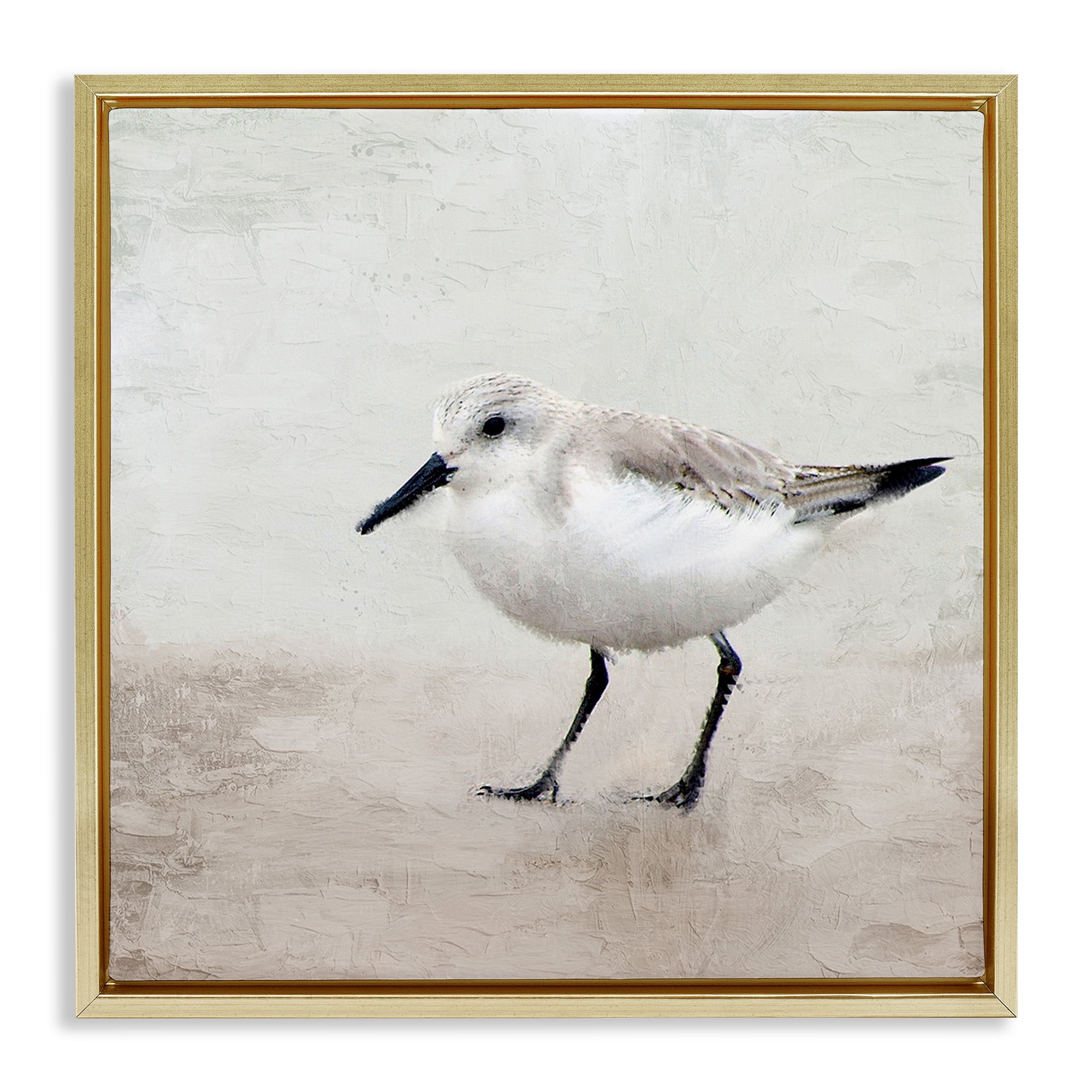 Stupell Industries Lone Sandpiper Bird Portrait Animals & Insects Painting Gold Floater Framed Canvas Art Print Wall Art, 25 x 25