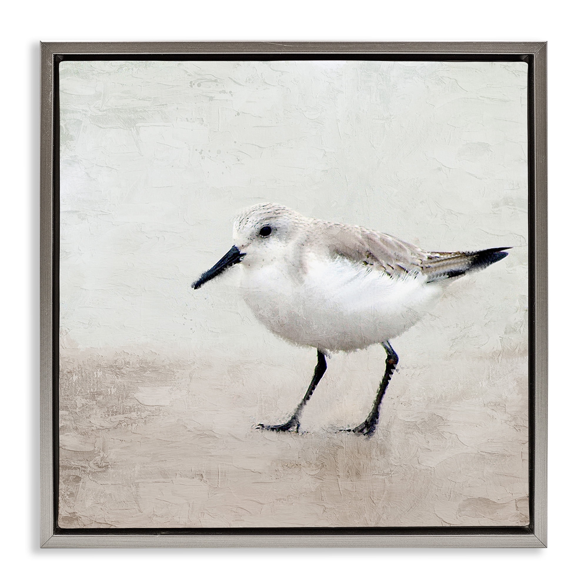 Stupell Industries Lone Sandpiper Bird Portrait Animals & Insects Painting Gray Floater Framed Canvas Art Print Wall Art, 25 x 25