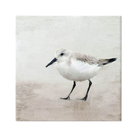 Stupell Industries Lone Sandpiper Bird Portrait Graphic Art Gallery Wrapped Canvas Print Wall Art, Design by Kim Allen