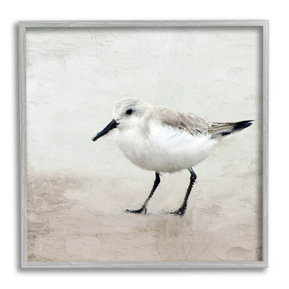 Stupell Industries Lone Sandpiper Bird Portrait Graphic Art Gray Framed Art Print Wall Art, Design by Kim Allen