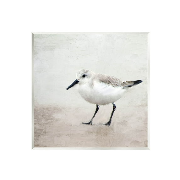 Stupell Industries Lone Sandpiper Bird Portrait Graphic Art Unframed Art Print Wall Art, Design by Kim Allen