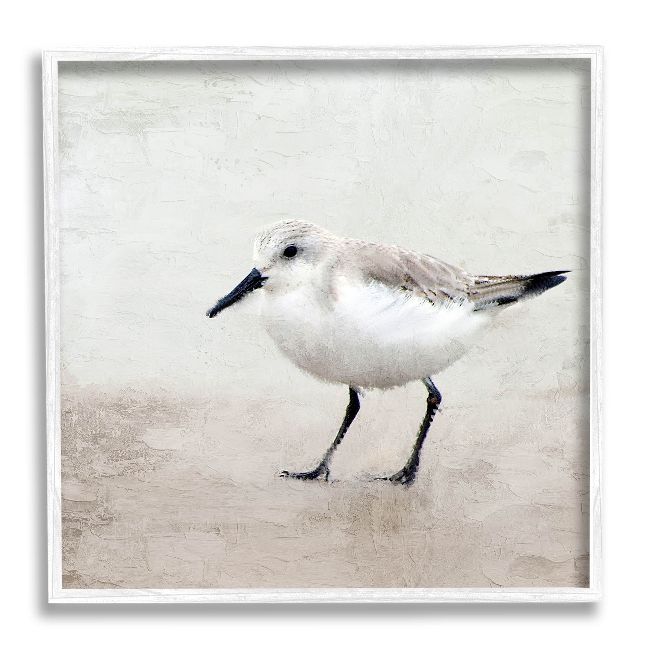 Stupell Industries Lone Sandpiper Bird Portrait Graphic Art White Framed Art Print Wall Art, Design by Kim Allen