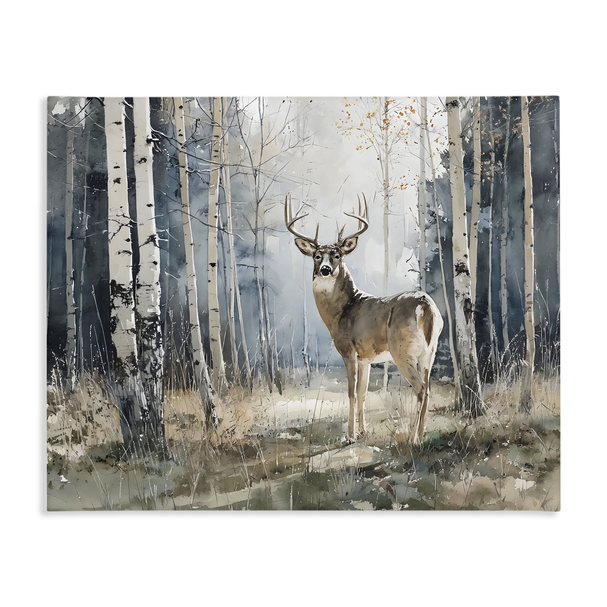 Stupell Industries Lone Stag in Birch Forest Canvas Wall Art, design by Franklyn Gregory