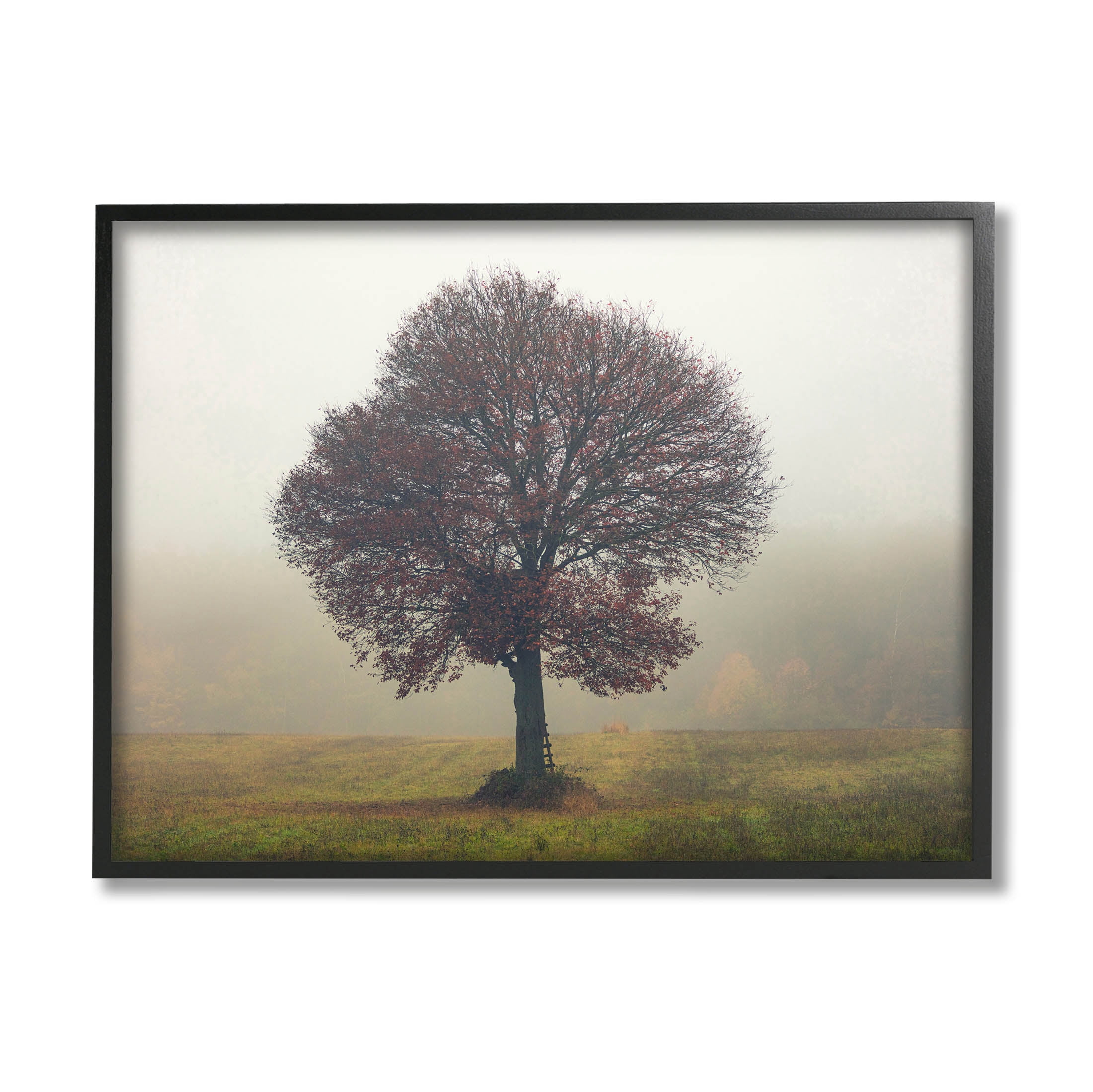 Stupell Industries Lone Tree Rural Grassland Photograph Black Framed Art Print Wall Art, Design by Igor Vitomirov