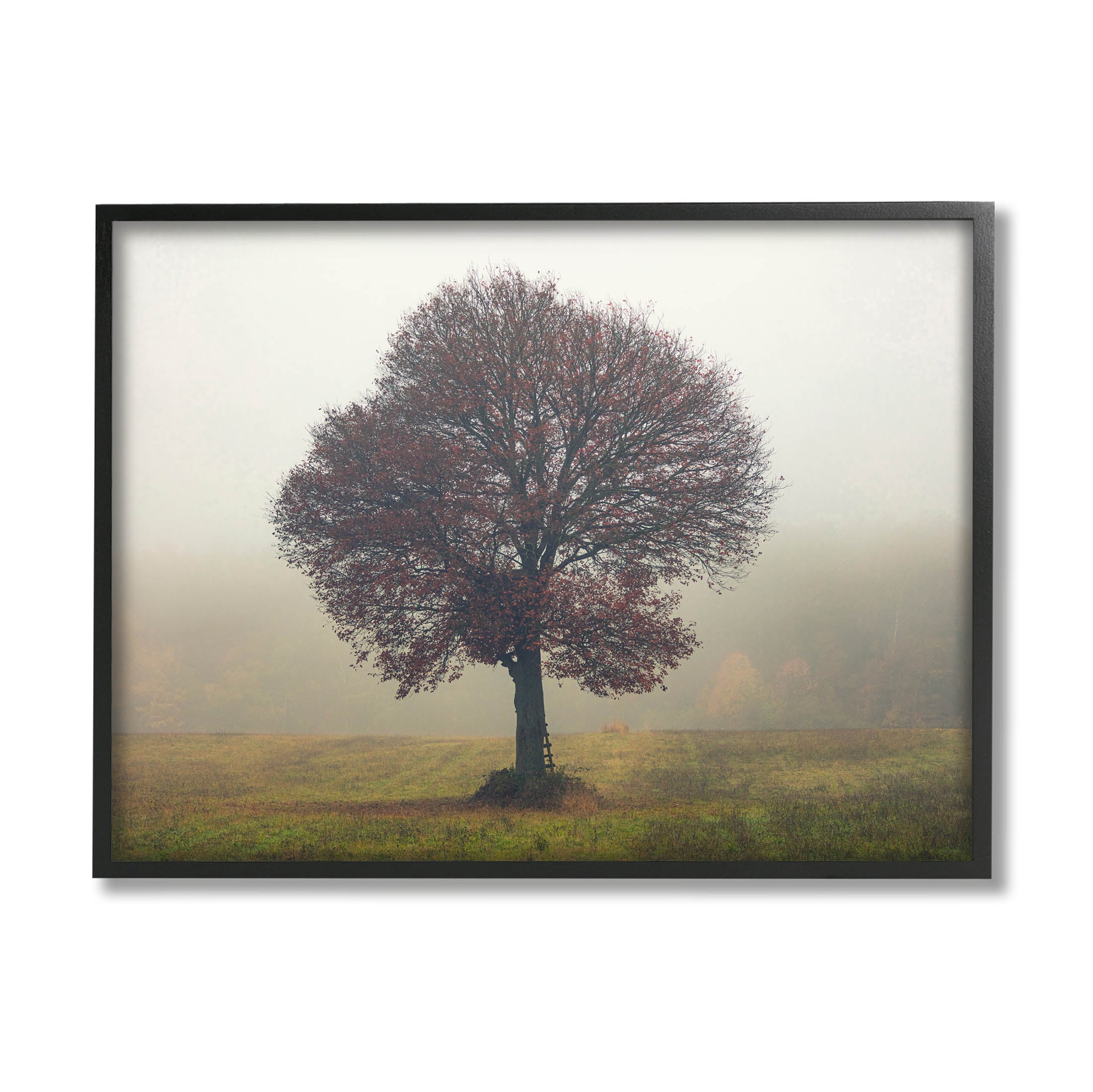 Stupell Industries Lone Tree Rural Grassland Photograph Black Framed Art Print Wall Art, Design by Igor Vitomirov