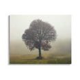 thumbnail image 1 of Stupell Industries Lone Tree Rural Grassland Photograph Gallery Wrapped Canvas Print Wall Art, Design by Igor Vitomirov, 1 of 7